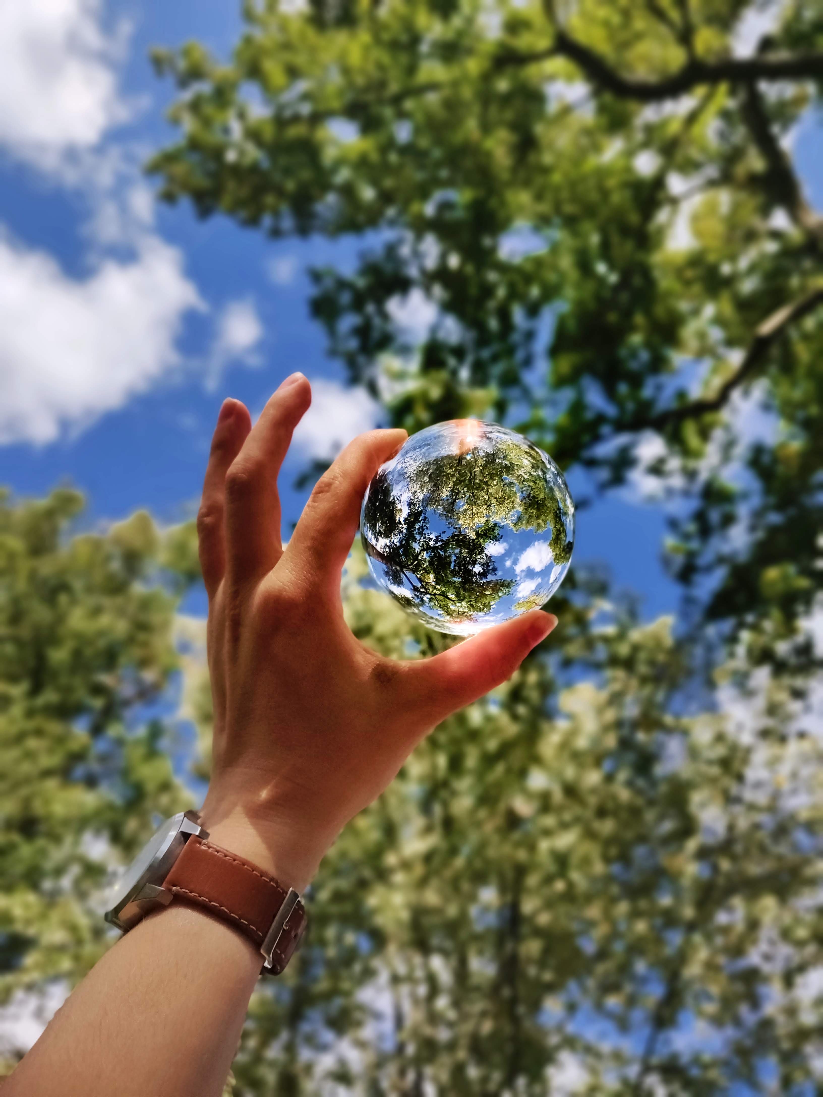 Eco friendly travel, glass globe in the forest