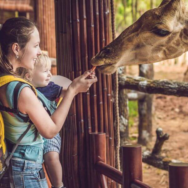 Active Consultancy Prize Fulfilment Employee Rewards